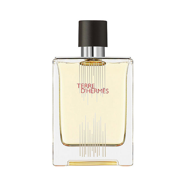 Hermes Terre d'Hermes Flacon H Limited Edition – Eau de Toilette for Men, 100 ml