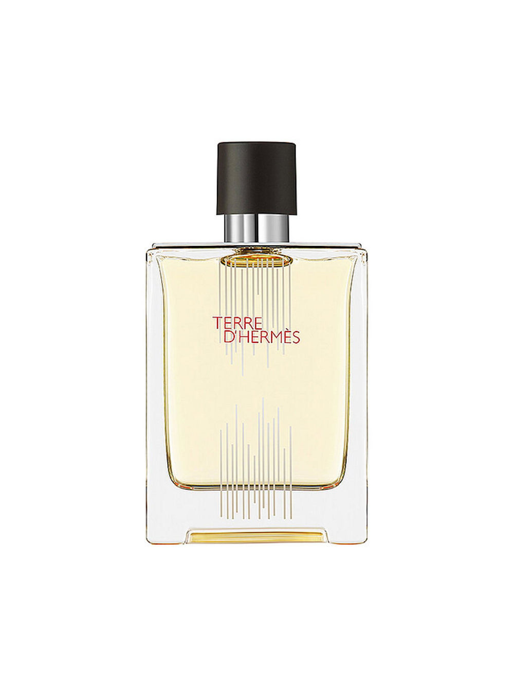 Hermes Terre d'Hermes Flacon H Limited Edition – Eau de Toilette for Men, 100 ml