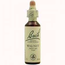 BACH 33 Walnut Nogal, 20 ml