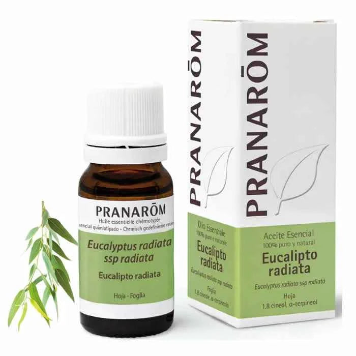 Pranarôm Pranarom Eucalyptus Radiata Essential Oil, 10 ml