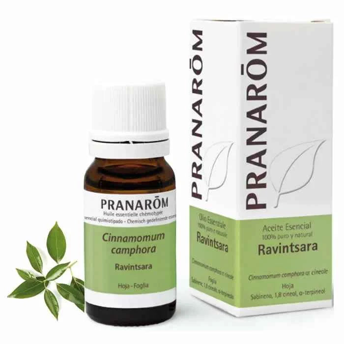Pranarôm Pranarom Ravintsara Essential Oil, 10 ml