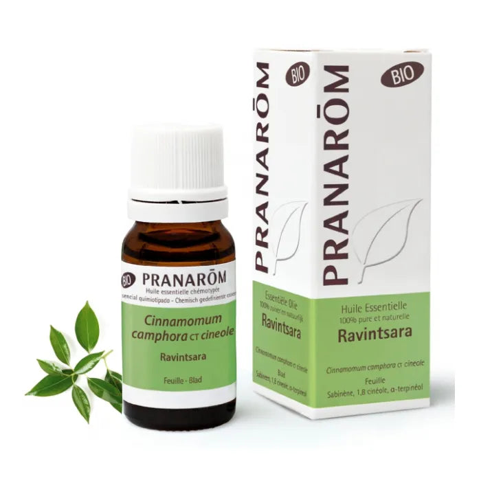 Pranarôm Pranarom Essential Oil Ravintsara, 10 ml