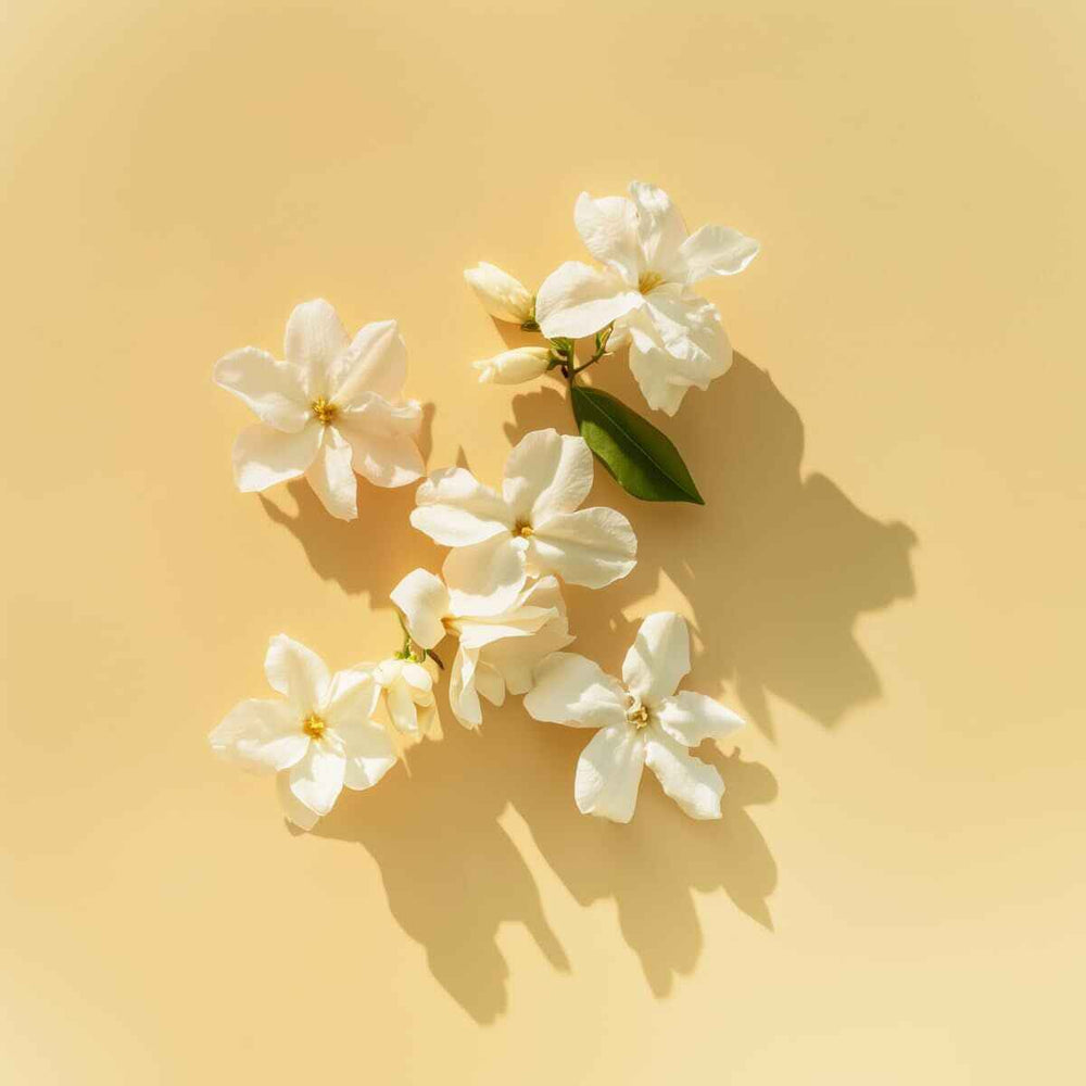 ELIE SAAB Le Parfum for Women Lumière – Eau de Parfum Vp, 90 ml