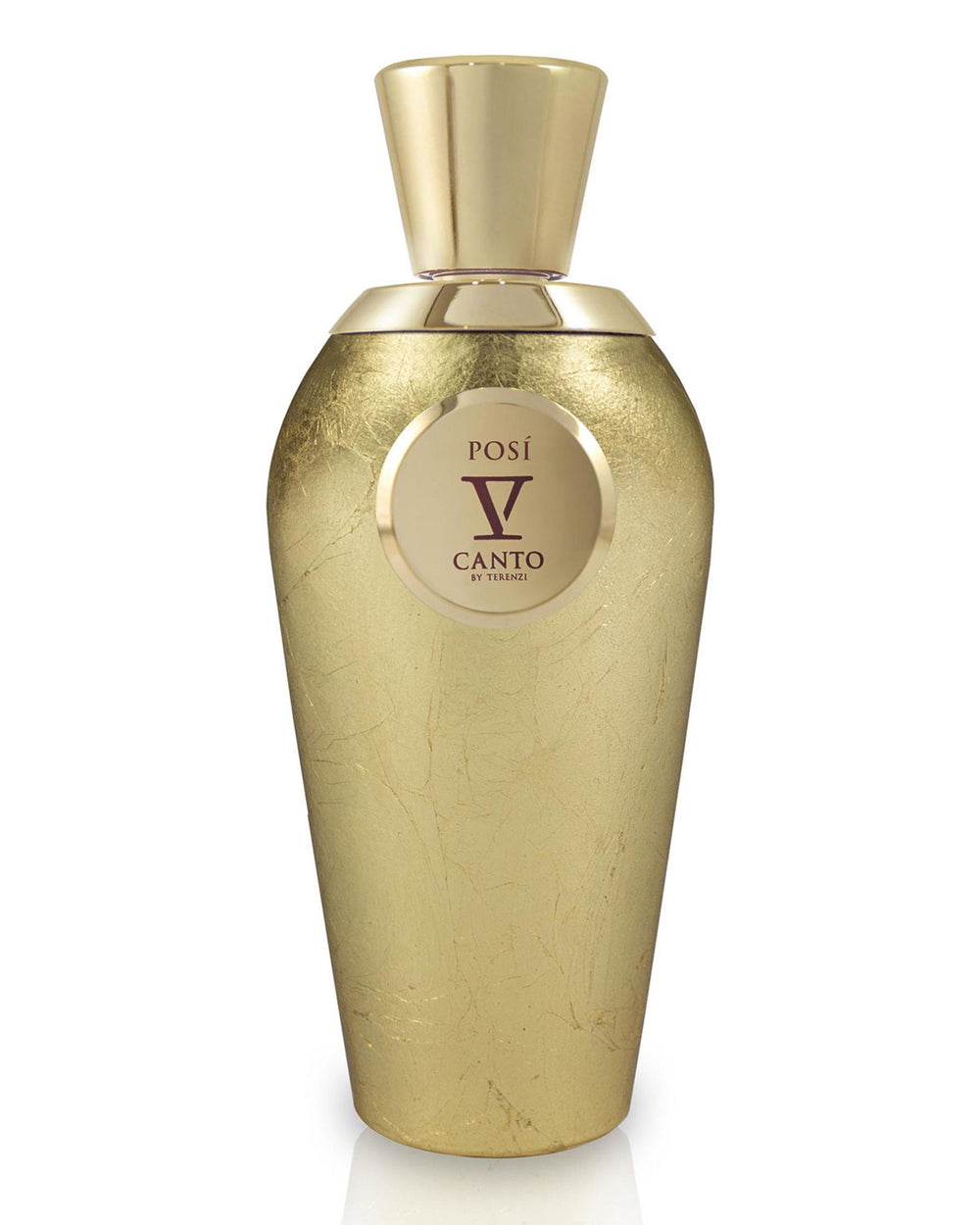 V Canto Posi – Extrait de Parfum Unisex, 100 ml
