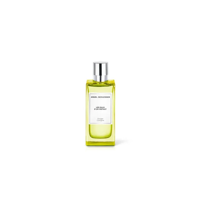Angel Schlesser Les Eaux D'un Instant Ginger Cologne – Eau de Toilette for Men Spray, 100 ml