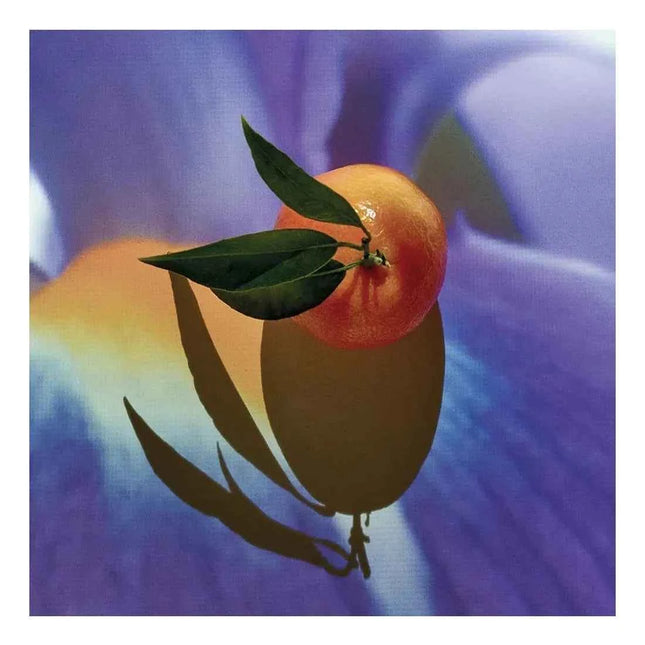 Loewe Solo Elixir 50 Vap M for Men