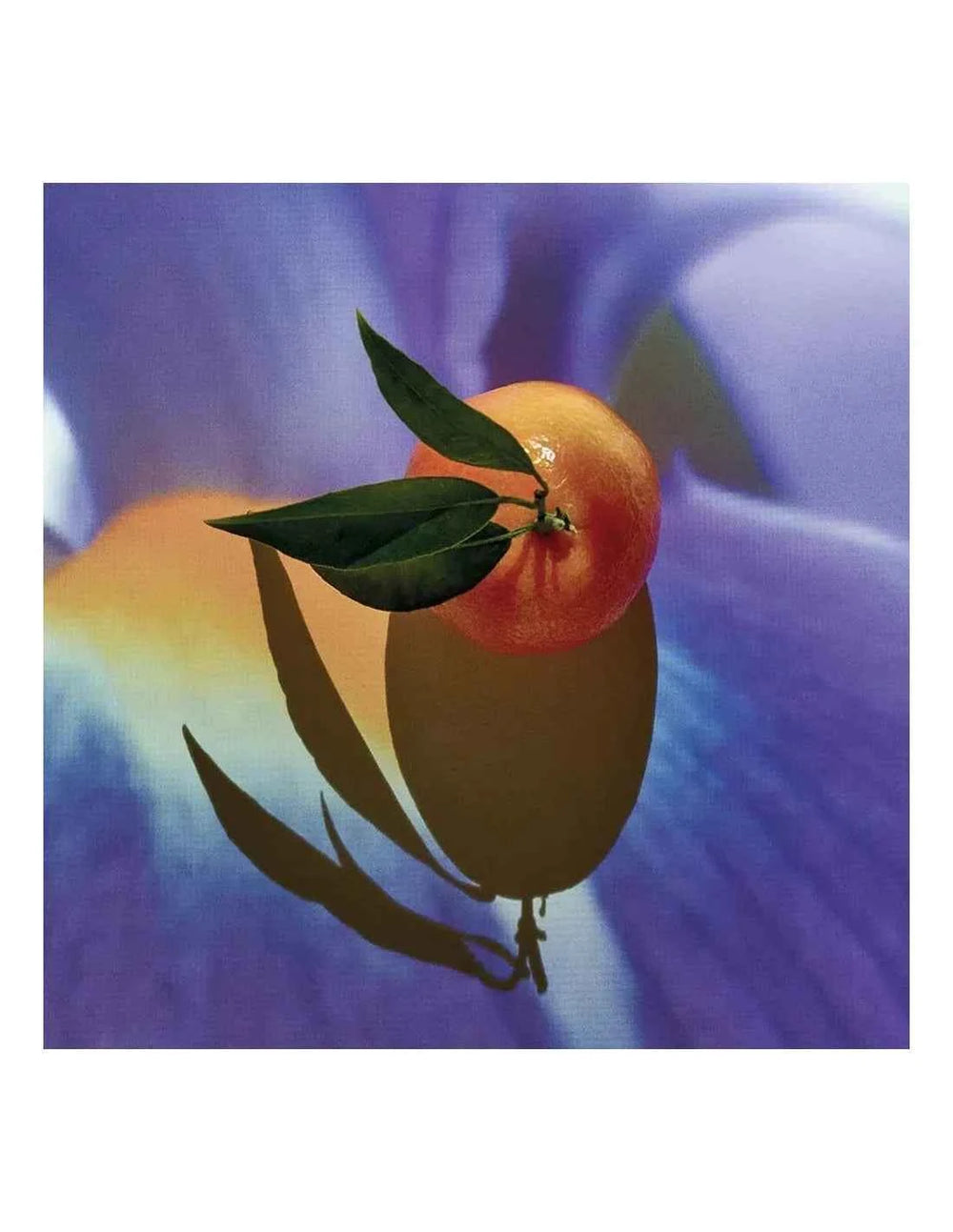 Loewe Solo Elixir 50 Vap M for Men