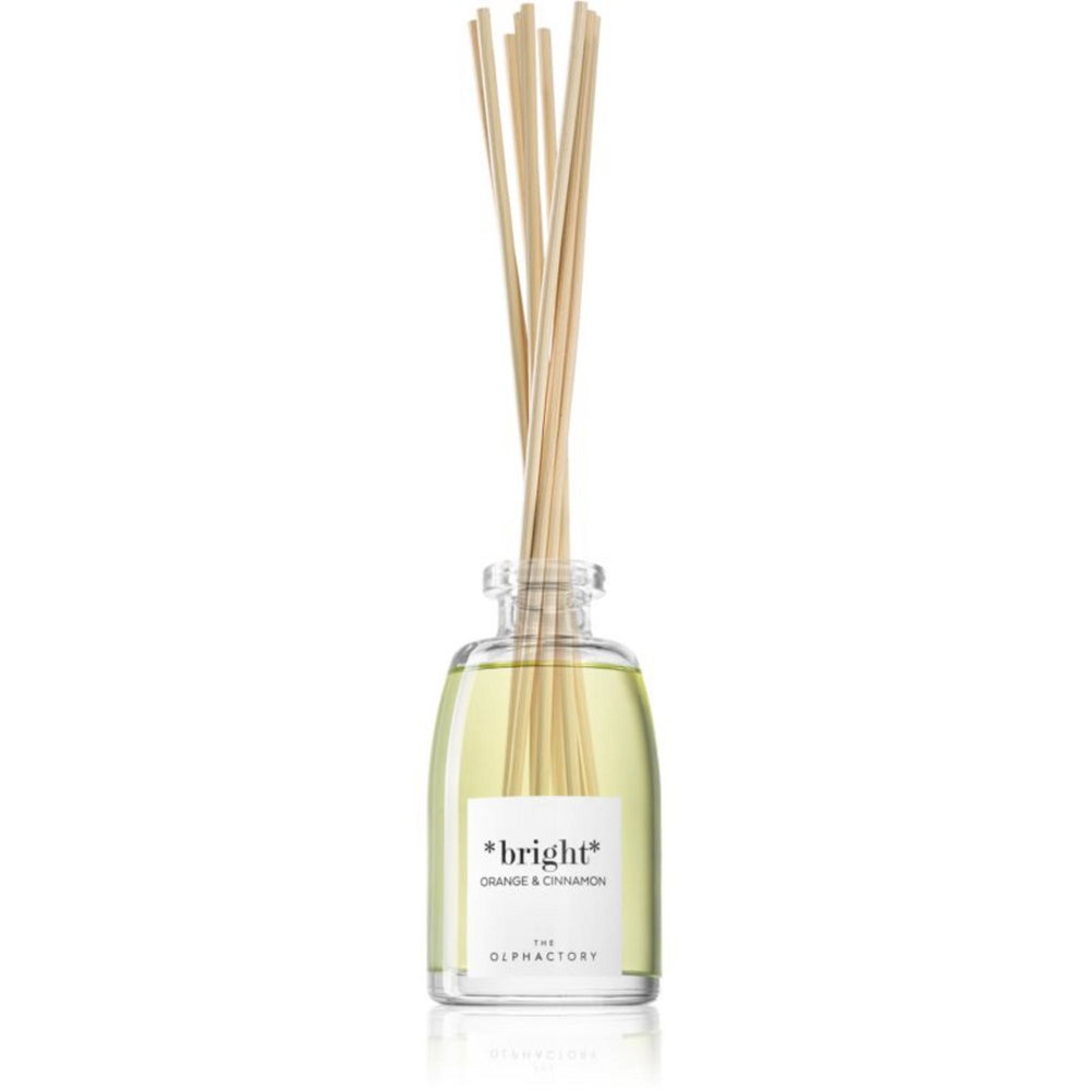 The Olphactory Bright Orange & Cinnamon Fragrance Sticks – Aroma Reed Diffuser Unisex, 250 ml