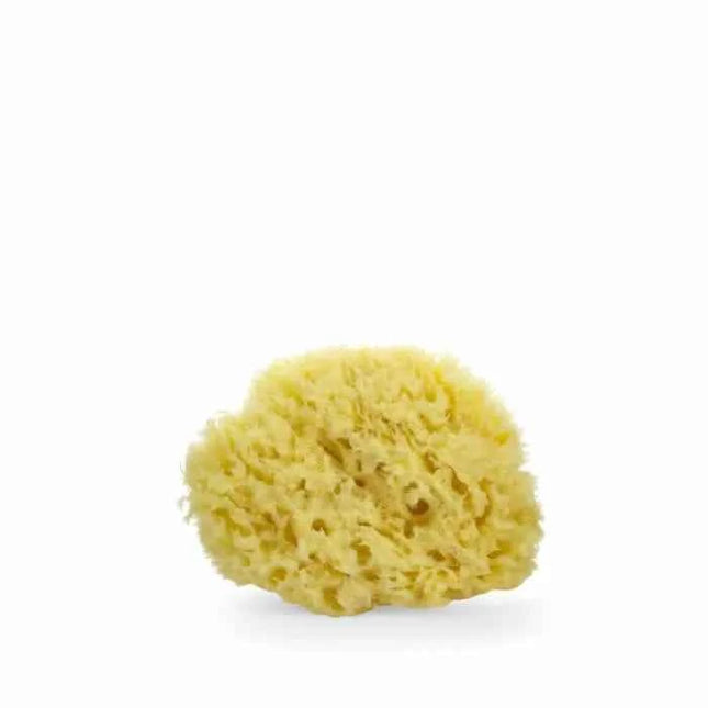 LUA & LEE Sponge Unisex, 1 Units