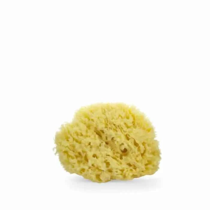 LUA & LEE Sponge Unisex, 1 Units