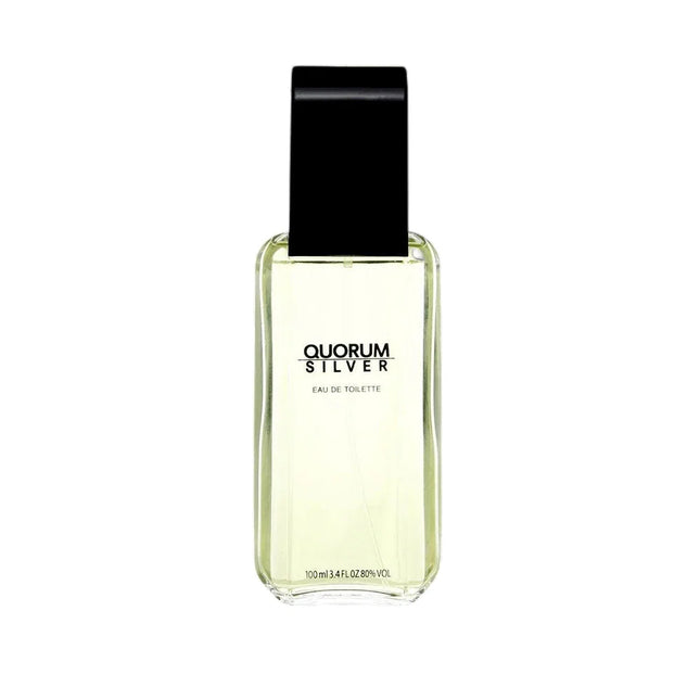 Antonio Puig Quorum Silver – Eau de Toilette for Men, 100 ml