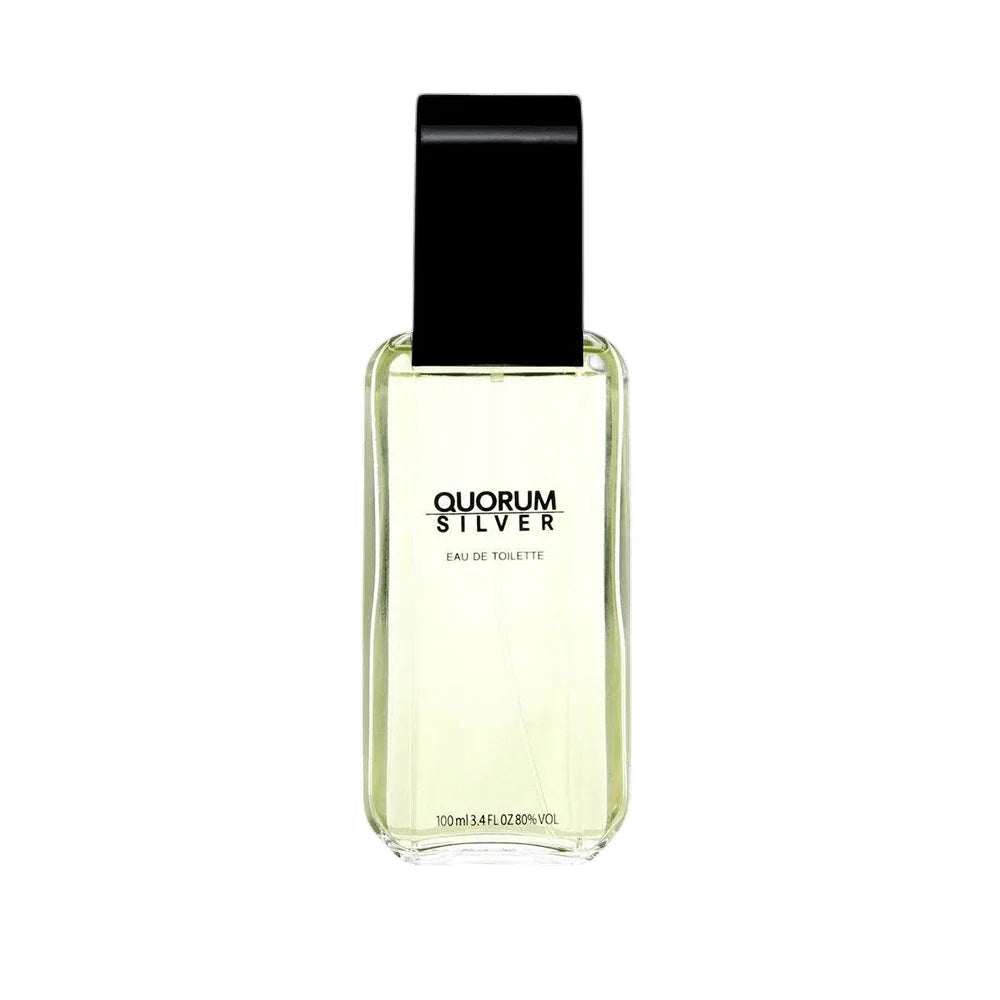 Antonio Puig Quorum Silver – Eau de Toilette for Men, 100 ml