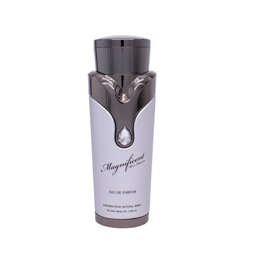 Armaf Magnificent – Eau de Parfum for Men, 100 ml