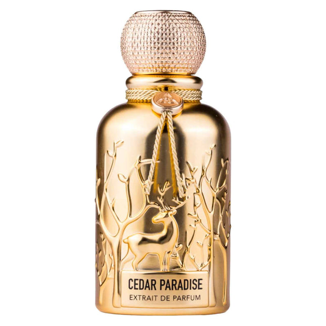 Auraa Desire Cedar Paradise – Extrait de Parfum for Men, 100 ml
