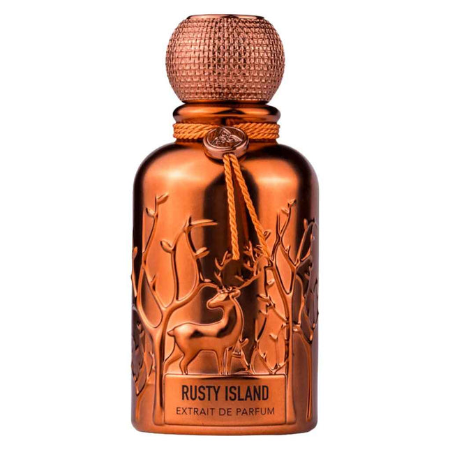 Auraa Desire Rusty Island – Extrait de Parfum for Men, 100 ml