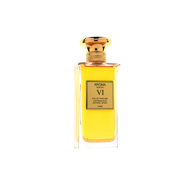Aurora Aroma Senora VI – Eau de Parfum for Women, 100 ml