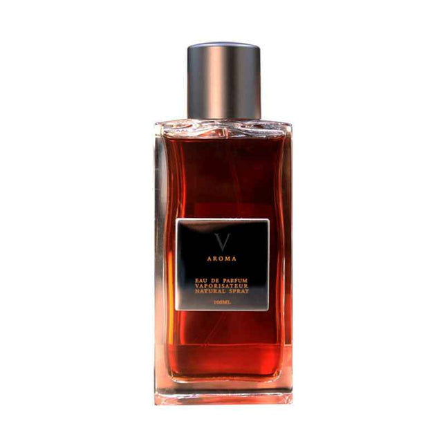 Aurora Aroma V – Eau de Parfum for Men, 100 ml