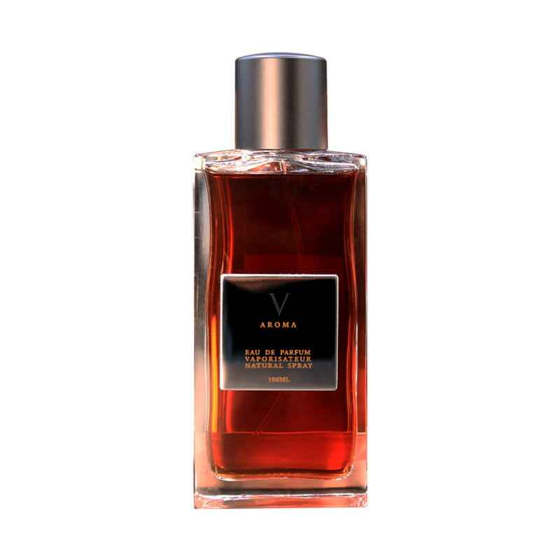 Aurora Aroma V – Eau de Parfum for Men, 100 ml