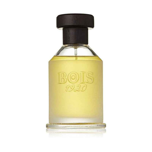 Bois 1920 Vetiver Ambrato – Eau de Toilette Unisex, 100 ml