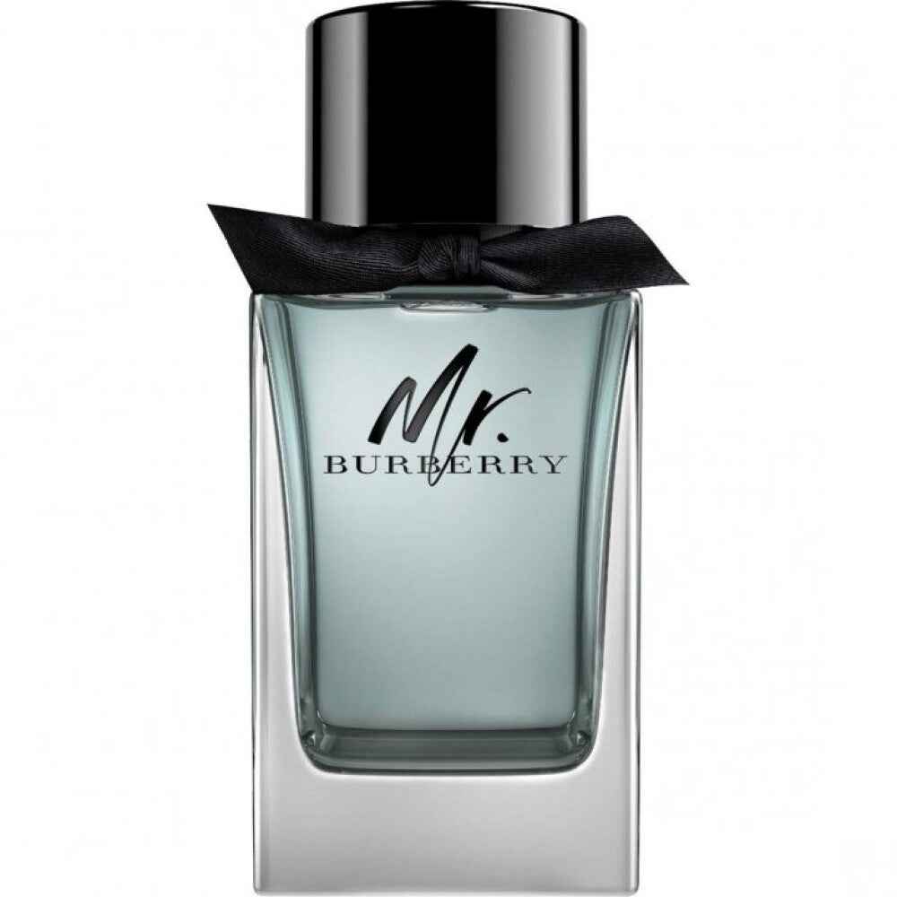 Burberry Mr. Burberry – Eau de Toilette for Men, 100 ml