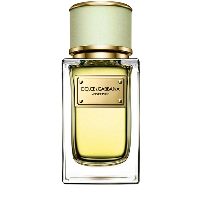 Dolce & Gabbana Velvet Pure – Eau de Parfum for Women, 50 ml