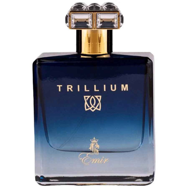 Emir Trillium – Eau de Parfum for Men, 100 ml