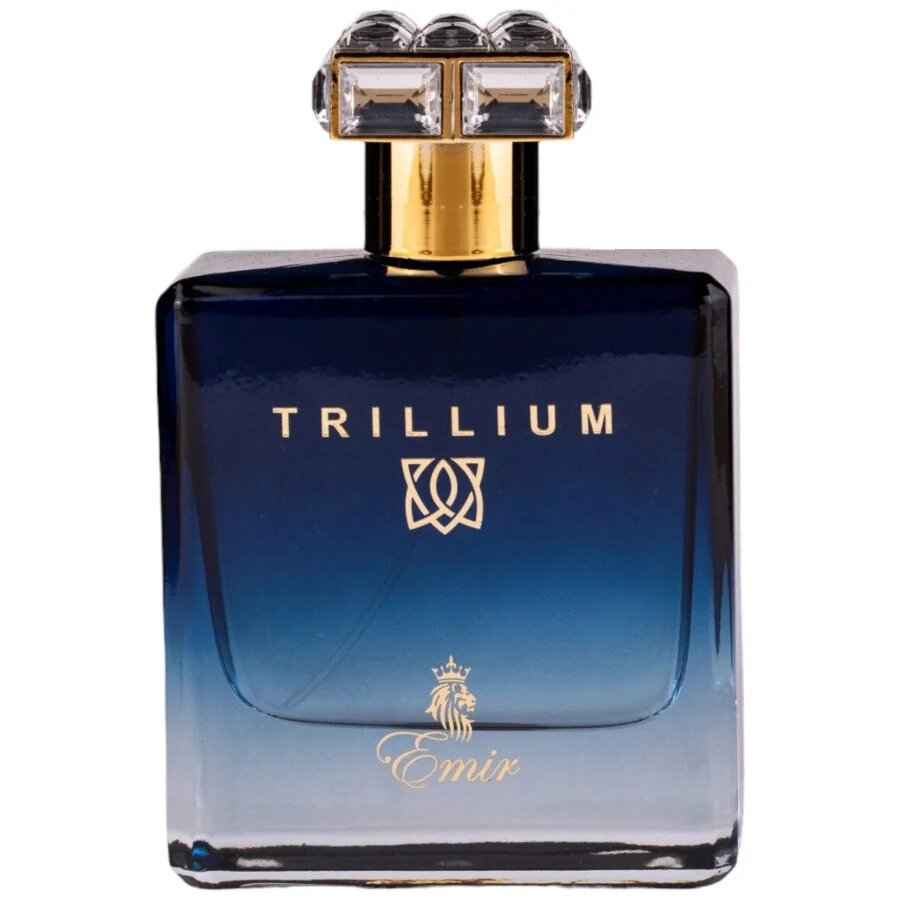 Emir Trillium – Eau de Parfum for Men, 100 ml