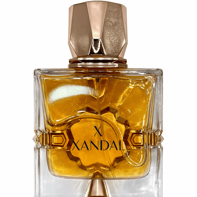 Fragrance World Aromatix X Xandal – Extrait de Parfum Unisex, 100 ml