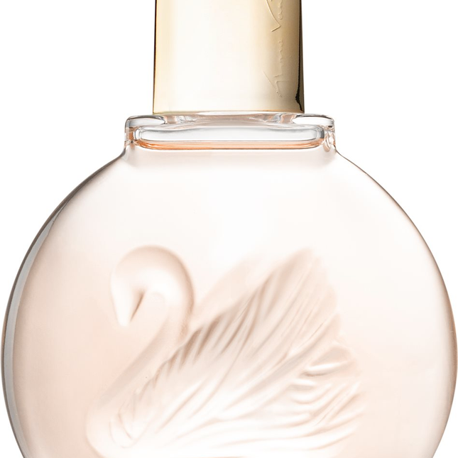 Gloria Vanderbilt Miss Vanderbilt – Eau de Toilette for Women, 100 ml