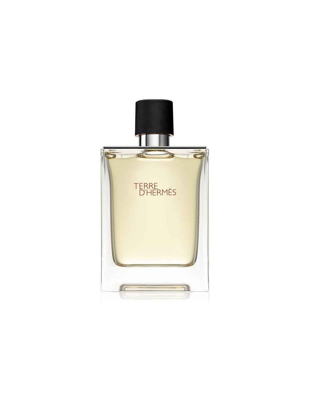Hermes Terre d'Hermes – Eau de Toilette for Men, 100 ml
