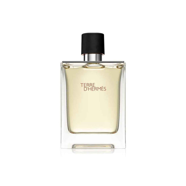 Hermes Terre d'Hermes – Eau de Toilette for Men, 100 ml
