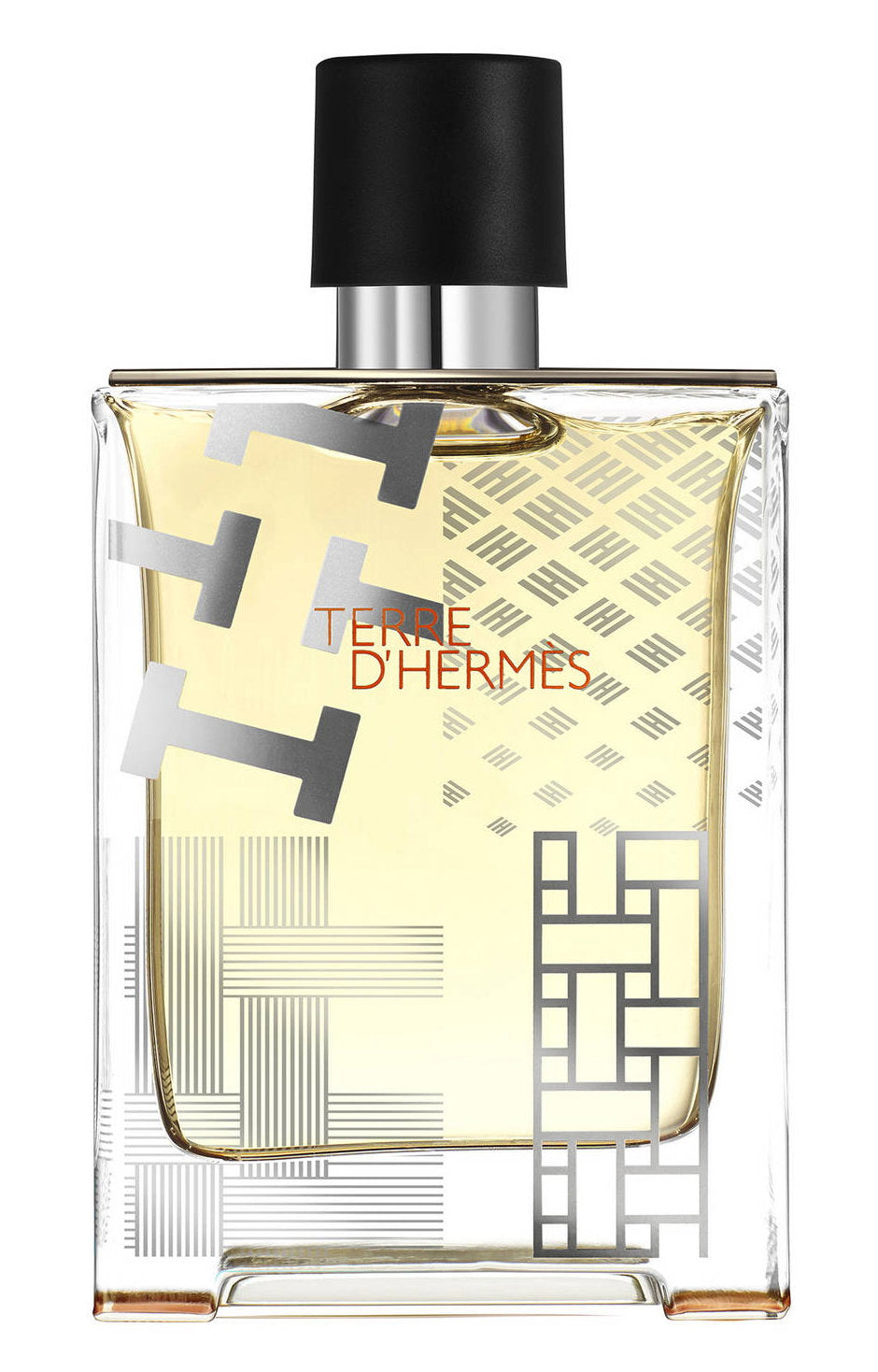 Hermes Terre d'Hermes Flacon H Limited Edition – Eau de Toilette for Men, 100 ml