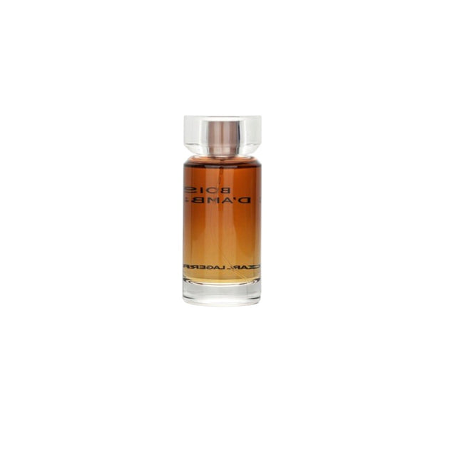 Karl Lagerfeld Bois D' Ambre – Eau de Toilette for Men, 100 ml
