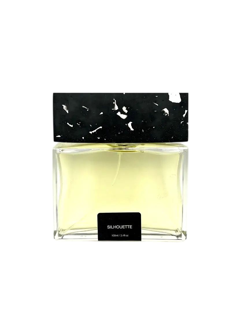 Pictor Parfum Silhouette – Extrait de Parfum Unisex, 100 ml