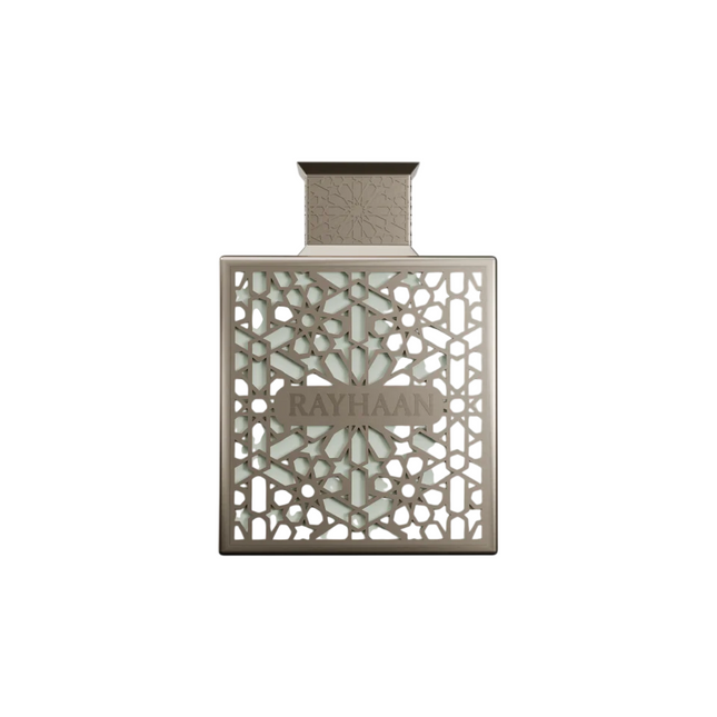 Rayhaan Terra – Eau de Parfum for Men, 100 ml