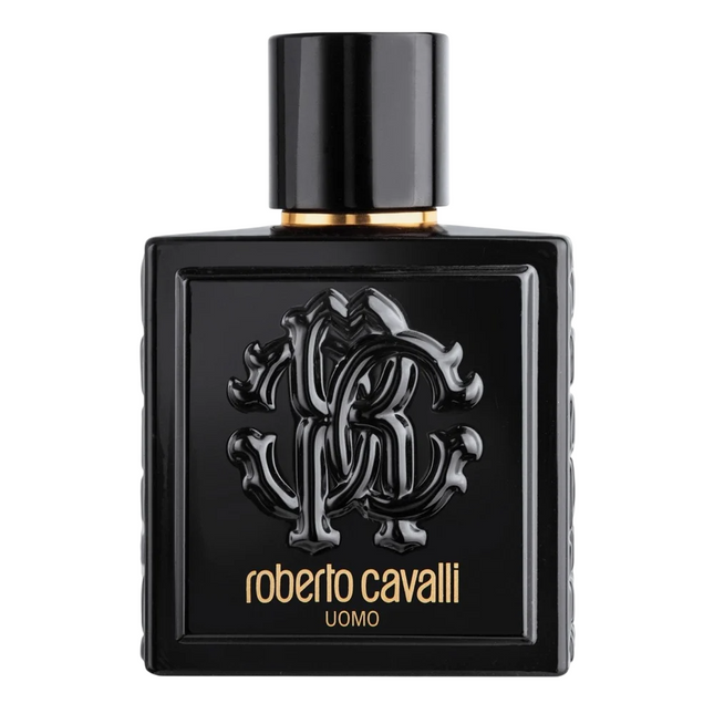 Roberto Cavalli Uomo – Eau de Toilette for Men, 100 ml